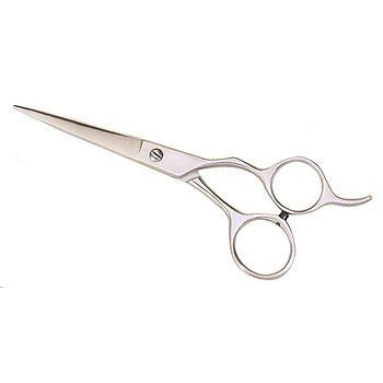 Stainless Steel Shears 5 ½
